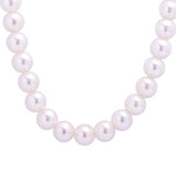 Small Strand Akoya Pearl Necklace with 14k Yellow Gold Clasp - Artisan Carat